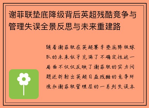 谢菲联垫底降级背后英超残酷竞争与管理失误全景反思与未来重建路